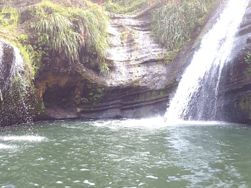 Try Annandale Waterfall in Grenada for a swim with younger kids
