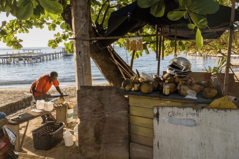 West End, Roatan - fresh coconut stand for travel to Roatan with kids