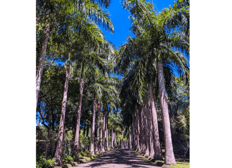 The entryway to Gumbalimba Park