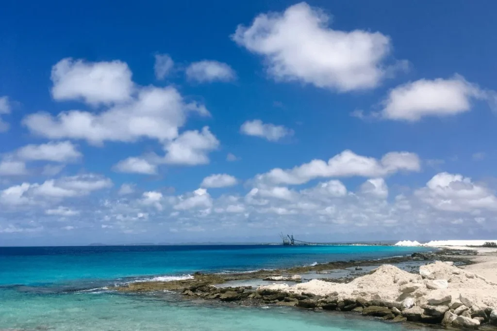Infographic highlighting why Bonaire is one of the best Caribbean islands for families.