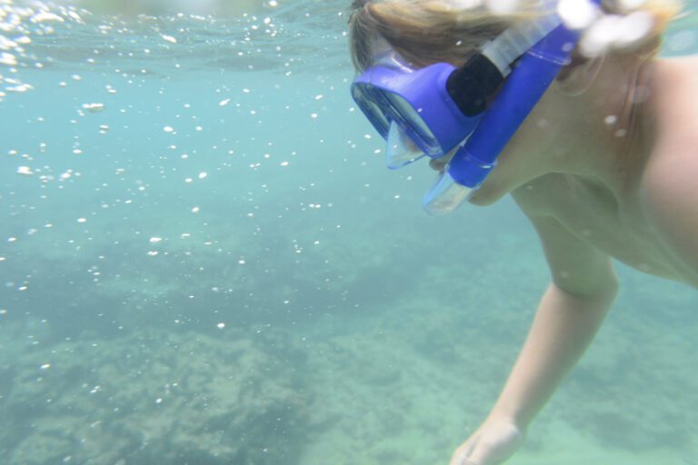 Snorkeling at Coral Gardens Providenciales