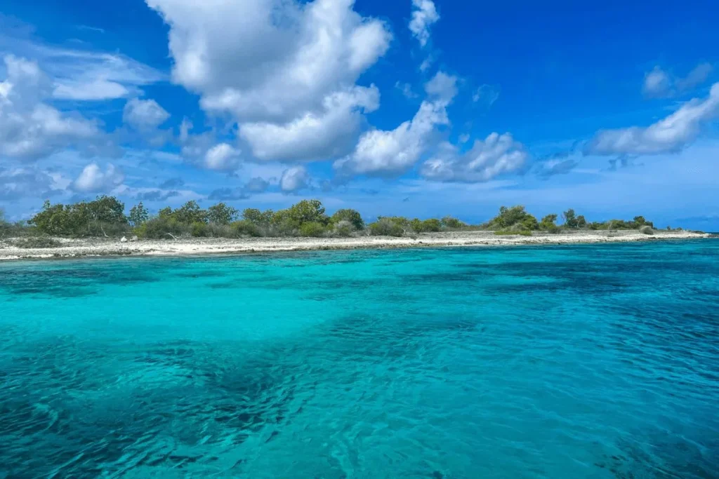 Infographic highlighting why Bonaire is one of the best Caribbean islands for families.