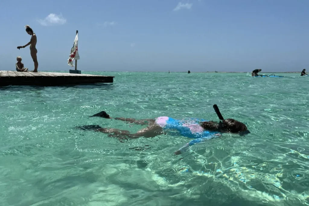 Infographic highlighting why Bonaire is one of the best Caribbean islands for families.