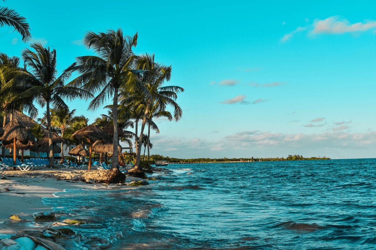 Flat Island, Safe Beach Day