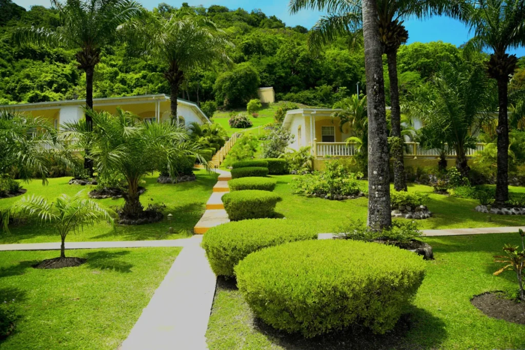 Infographic highlighting why Grenada is one of the best Caribbean islands for families.