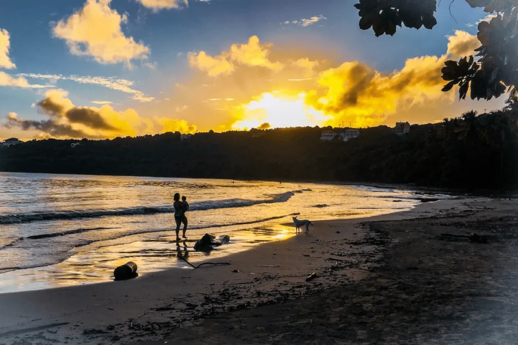 Infographic highlighting why Grenada is one of the best Caribbean islands for families.