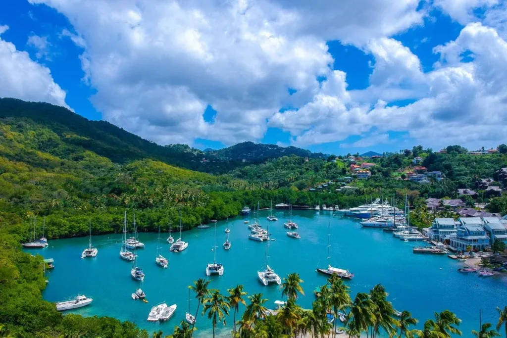 Infographic highlighting why Saint Lucia is one of the best Caribbean islands for families.