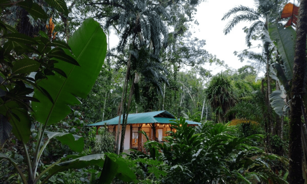 Geckoes lodge Costa Rica
