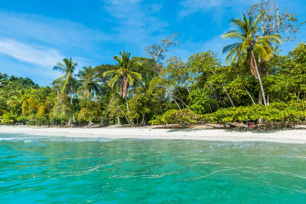 Beach in the Caribbean
