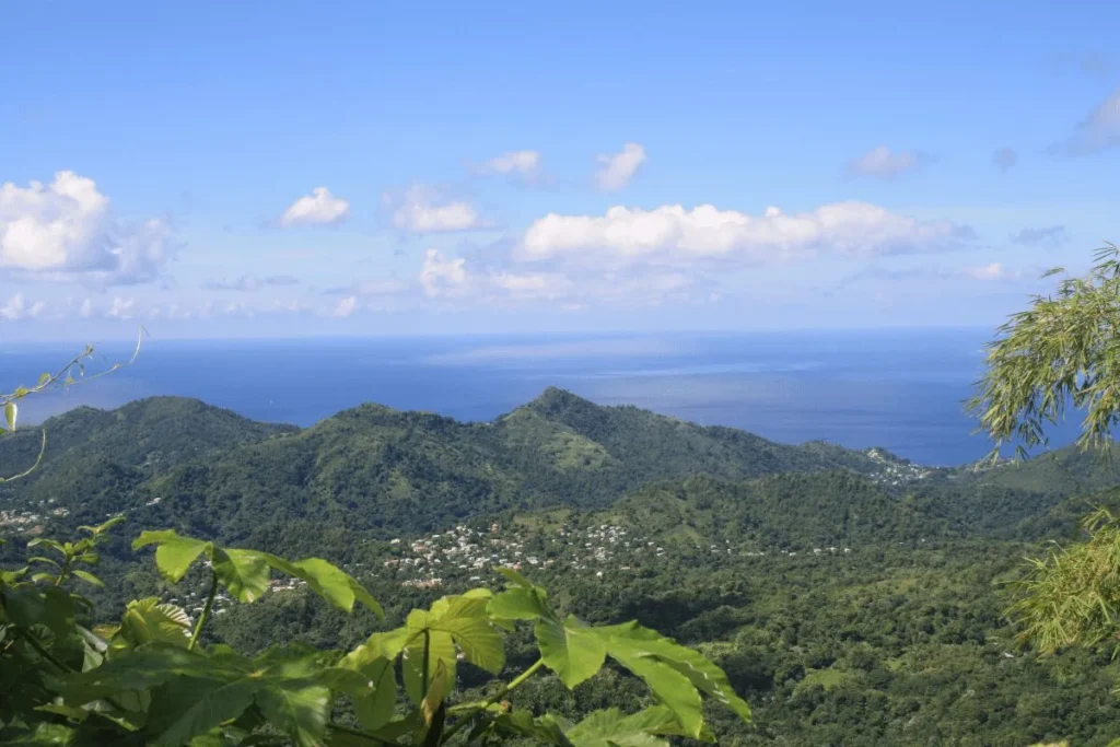 Infographic highlighting why Grenada is one of the best Caribbean islands for families.