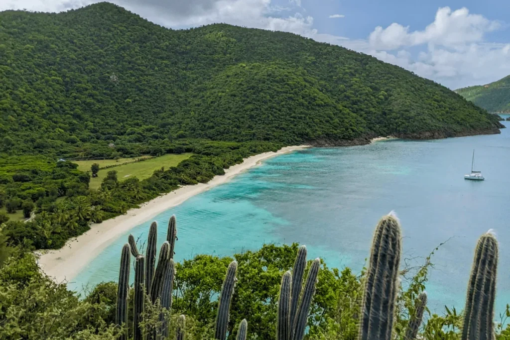 Beach in the Caribbean