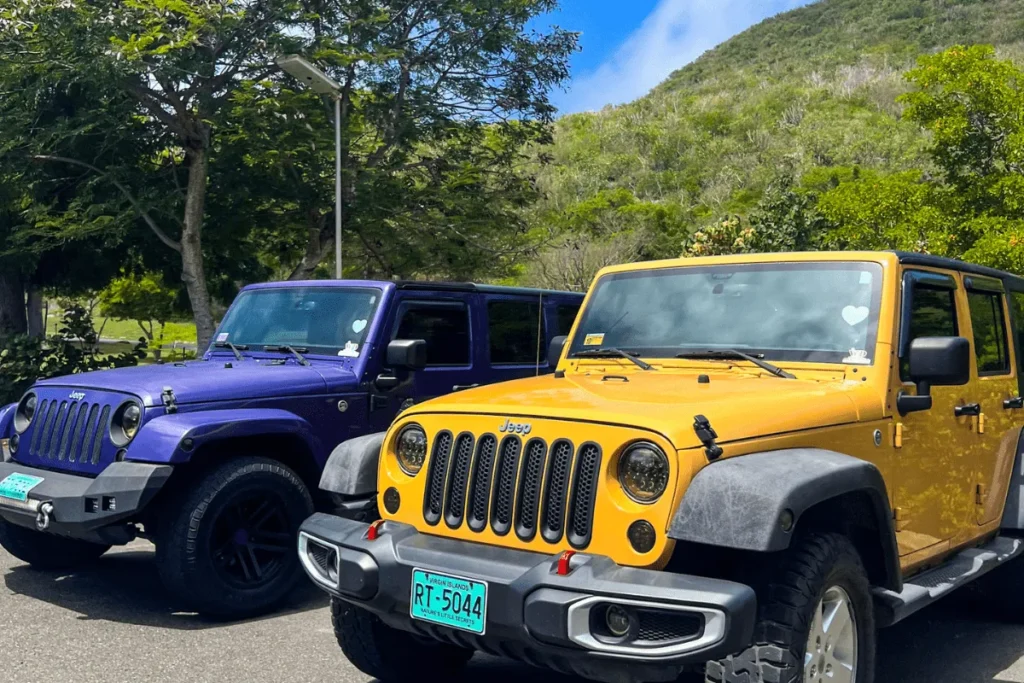 Virgin Gorda with kids