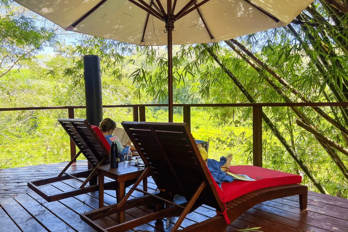Immerse yourself in nature at a jungle lodge