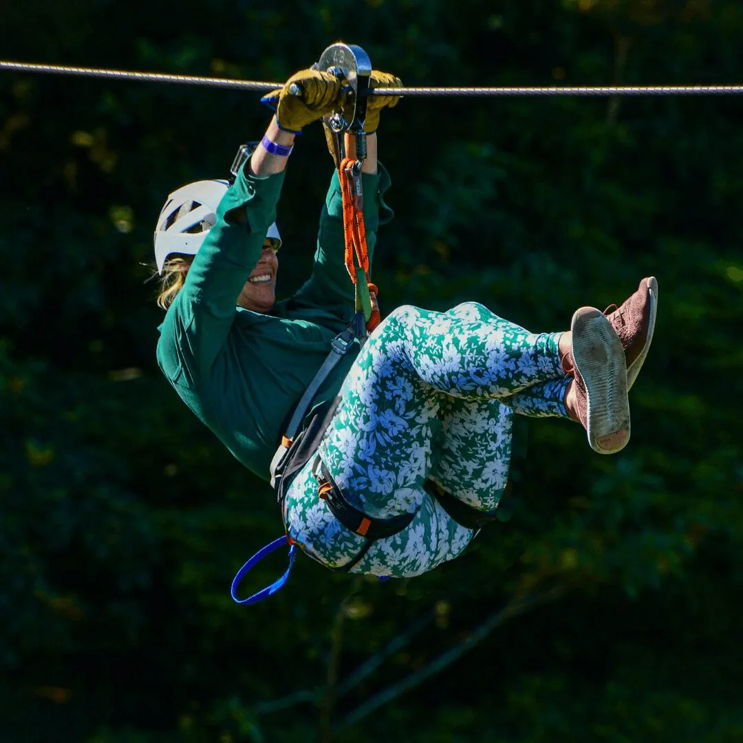 Zipline Through the Forest Canopy