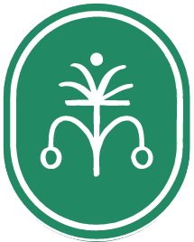 MTT-green-mark