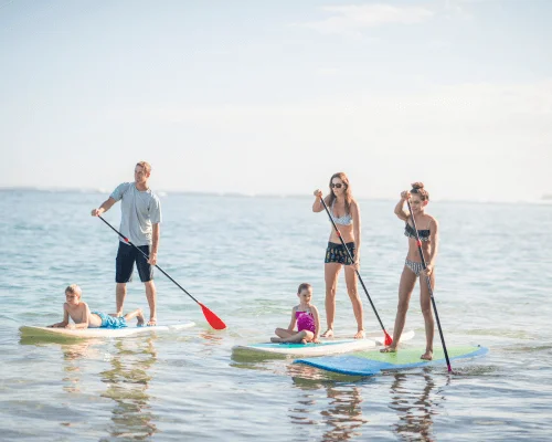 Take a Stand-Up Paddle Boarding Tour 
