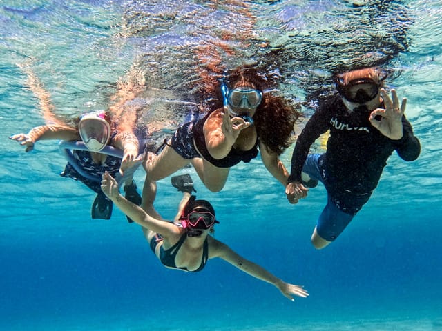 Private Snorkel - Underwater Photos! 