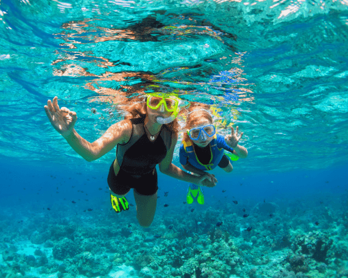 Don't Skip the Snorkeling 