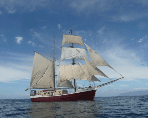 Explore the Algarve By Catamaran 