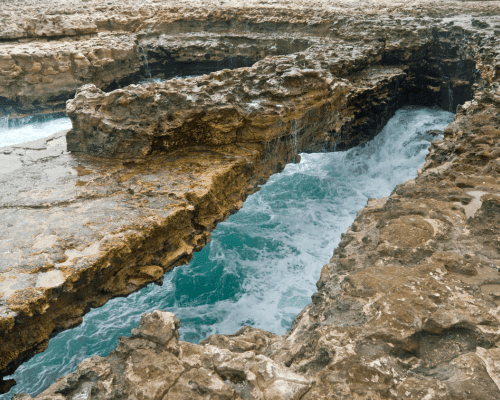 Scenic Full Day Island Tour 