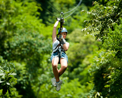 Rainforest Zipline 