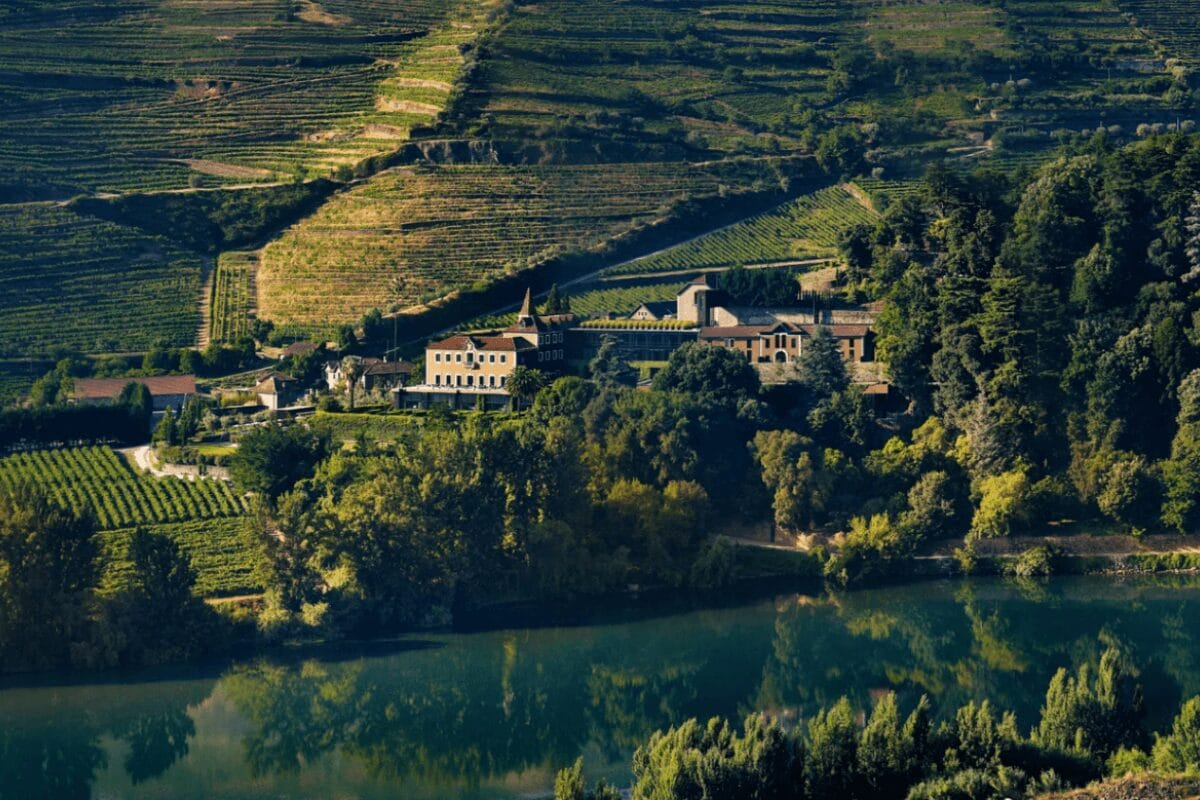 Cruise the Douro River