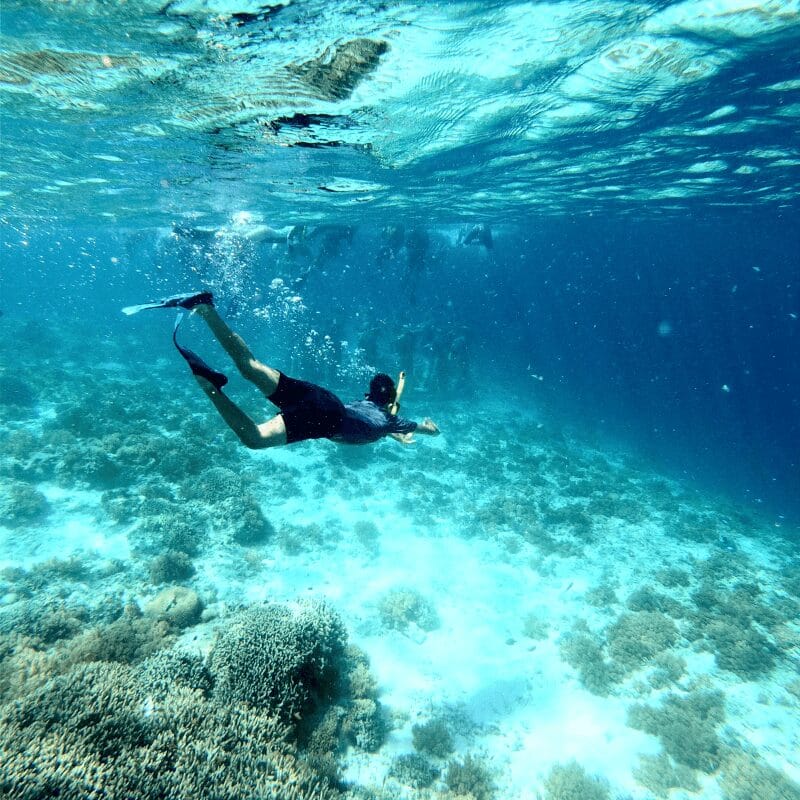 Snorkel the Underwater Sculpture Garden