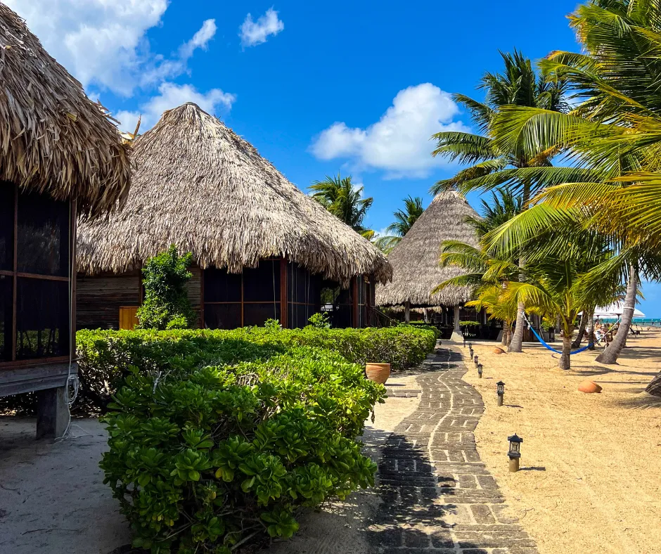 Turtle Inn Belize: thatched-roof beach huts, palm-lined path, blue sky—Beach & Jungle Stays We Love With Kids.
