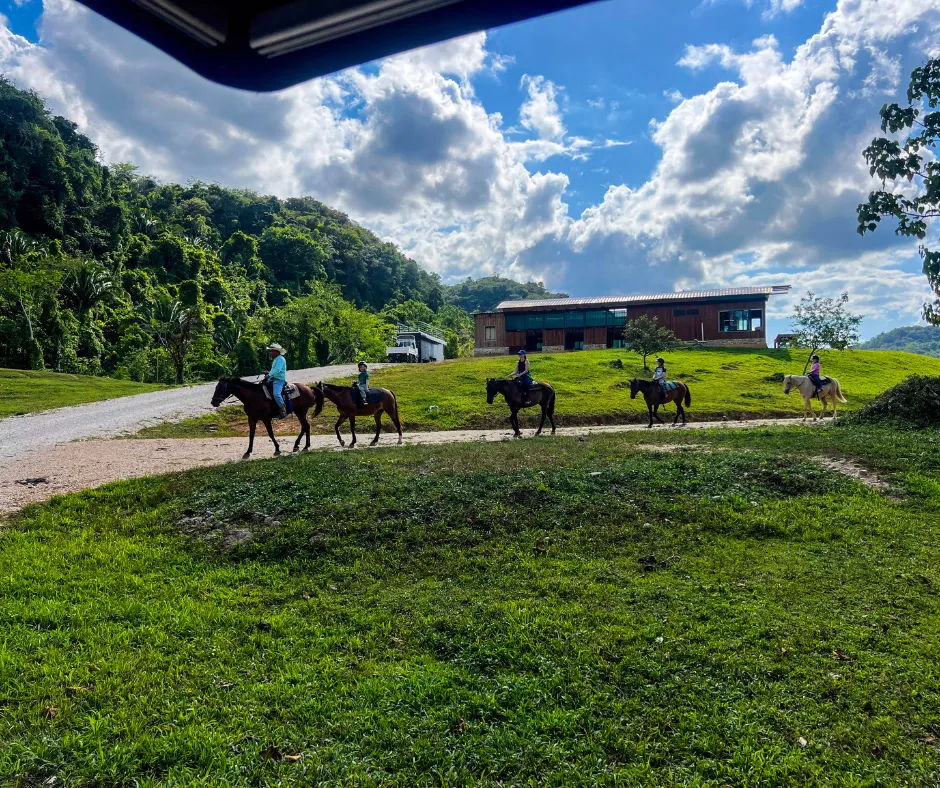 Family on horse back riding