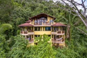 Sleeping giant exterior view on a lush jungle