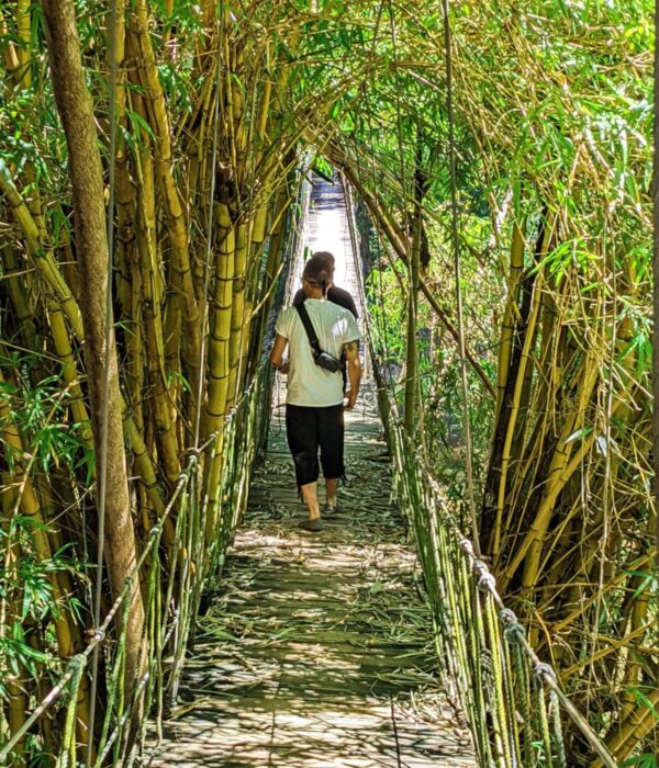 Gumbalimba Park, Roatan Canopy bridge in Gumbalimba Park