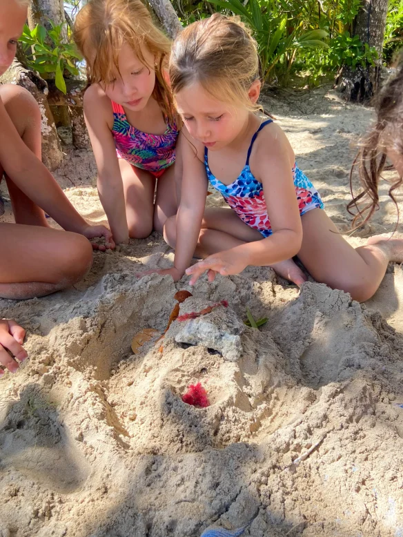 Blog_post_hermet_crab